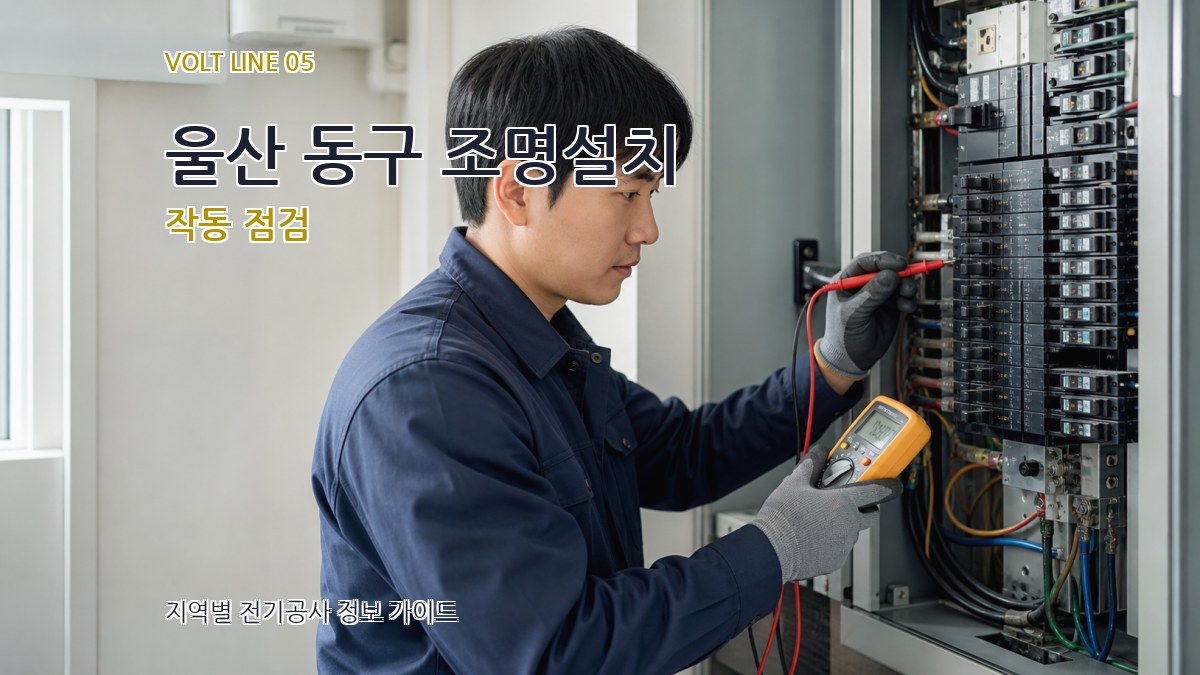 울산 동구 조명설치 작동 점검